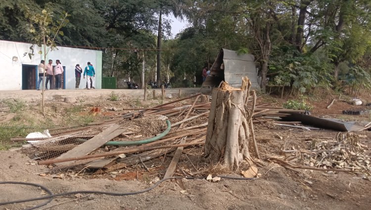 राहुरी तालुका अंतर्गत फॉरेस्ट ऑफिसमधे च वृक्षतोड आणि विक्री झाल्याचा प्रकार आला उघडीकस