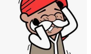 सरपंचांनी आर्थिक निर्णय न घेण्याचे  मुख्य कार्यकारी अधिकाऱ्यांचे आदेश