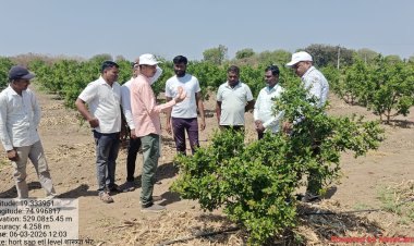 *कृषी विद्यापीठातील शास्त्रज्ञांचे नेवासा तालुक्यातील शेतकर्‍यांना डाळिंब पिकावरील किडींसंदर्भात मार्गदर्शन*