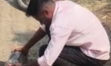 सर्पमित्र कृष्णा पोपळघट यांनी नागाला केले जेरबंद .