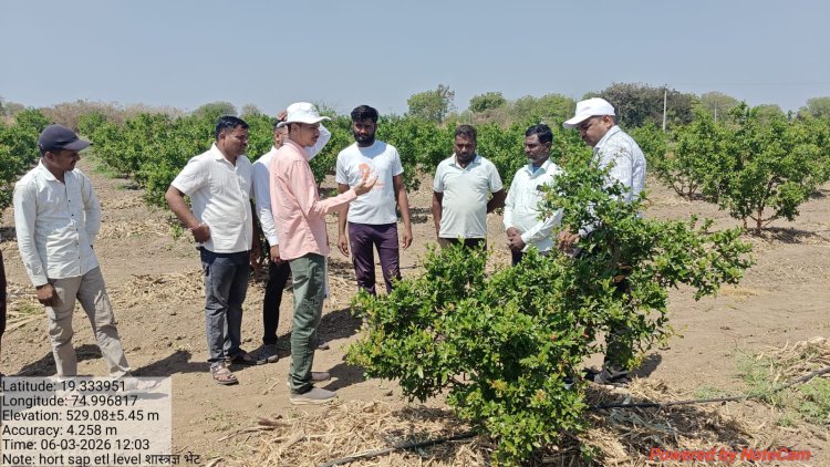 *कृषी विद्यापीठातील शास्त्रज्ञांचे नेवासा तालुक्यातील शेतकर्‍यांना डाळिंब पिकावरील किडींसंदर्भात मार्गदर्शन*