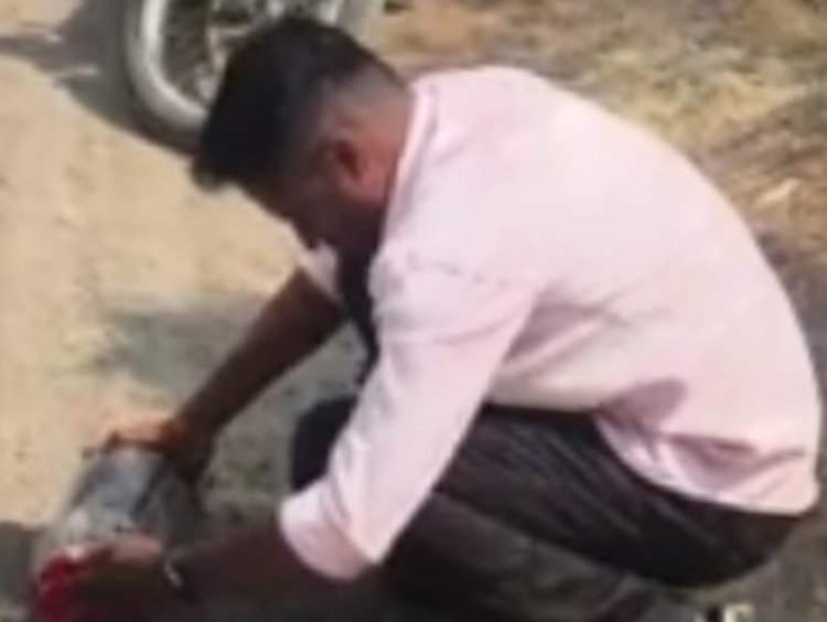 सर्पमित्र कृष्णा पोपळघट यांनी नागाला केले जेरबंद .