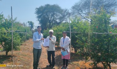 हॉर्टसॅप अंतर्गत डाळिंब पिकावरील मावा किड व्यवस्थापानासाठी भेटी व मार्गदर्शन*