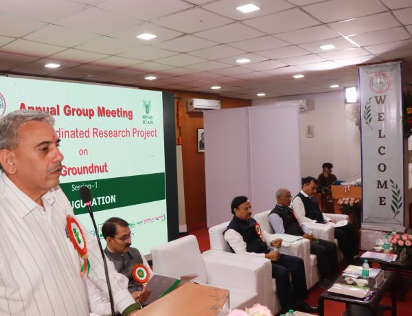 *भुईमूगात हवामान सहनशील वाणांची निर्मिती होणे गरजेचे - उपमहासंचालक डॉ. डी. के. यादव*