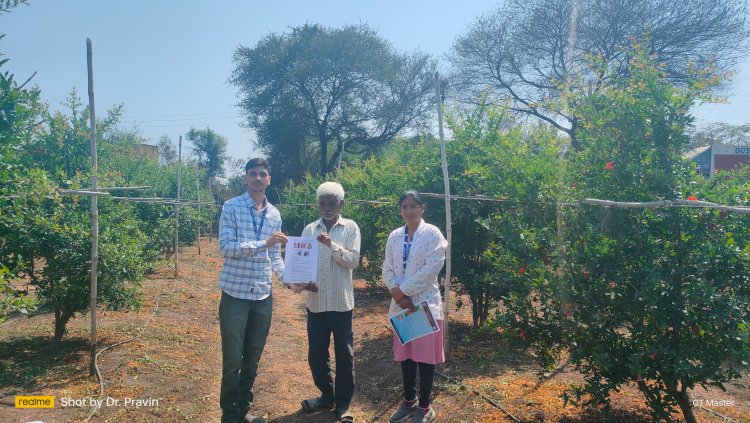 हॉर्टसॅप अंतर्गत डाळिंब पिकावरील मावा किड व्यवस्थापानासाठी भेटी व मार्गदर्शन*