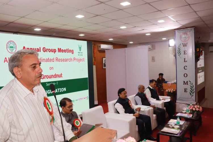 *भुईमूगात हवामान सहनशील वाणांची निर्मिती होणे गरजेचे - उपमहासंचालक डॉ. डी. के. यादव*