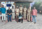 राहुरी: जिल्हा हद्दपार असताना विना नंबर प्लेट डंपरने अवैध वाळू उपसा करणारा आरोपी निखिल लाटे याला राहुरी पोलिसांनी ताब्यात घेतले. 32 लाखांचा मुद्देमाल जप्त.