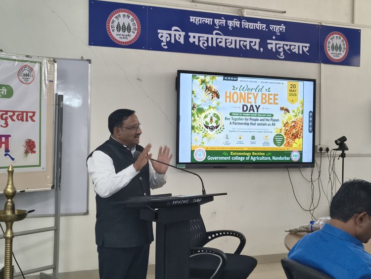 मधमाशीपालन हे ग्रामीण अर्थकारणाला बळ देणारे प्रभावी माध्यम - डॉ. यु. बी. होले