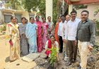 महिला आर्थिक विकास महामंडळ अहिल्यानगर अंतर्गत प्रतिभा लोकसंचालित साधन केंद्रातर्फे पिंप्री अवघड येथे जागतिक पर्यावरण दिन उत्साहात संपन्न