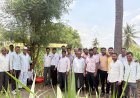 देसवंडी येथे क्रॉपसेप योजनेअंतर्गत ऊस शेती शाळेचा उत्साहात शुभारंभ