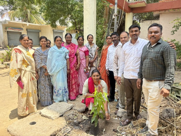 महिला आर्थिक विकास महामंडळ अहिल्यानगर अंतर्गत प्रतिभा लोकसंचालित साधन केंद्रातर्फे पिंप्री अवघड येथे जागतिक पर्यावरण दिन उत्साहात संपन्न