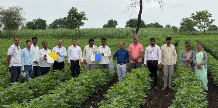 विद्यापीठ शास्त्रज्ञांचे कापूस उत्पादक शेतकऱ्यांना मार्गदर्शन