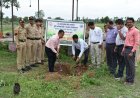 महात्मा फुले यांच्या द्विशताब्दी जयंती वर्षानिमित्त पाणलोट क्षेत्रात वृक्षारोपण कार्यक्रम संपन्न .