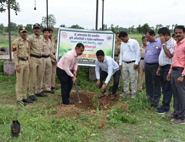 महात्मा फुले यांच्या द्विशताब्दी जयंती वर्षानिमित्त पाणलोट क्षेत्रात वृक्षारोपण कार्यक्रम संपन्न .