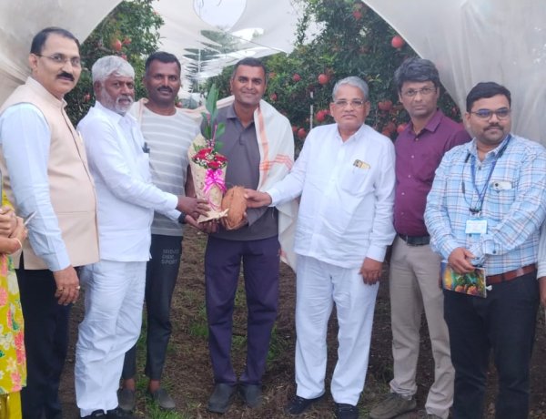 कृषि विद्यापीठाच्या तंत्रज्ञानाचा शेतकऱ्यांना मोठा लाभ आ. दिलीप बोरसे