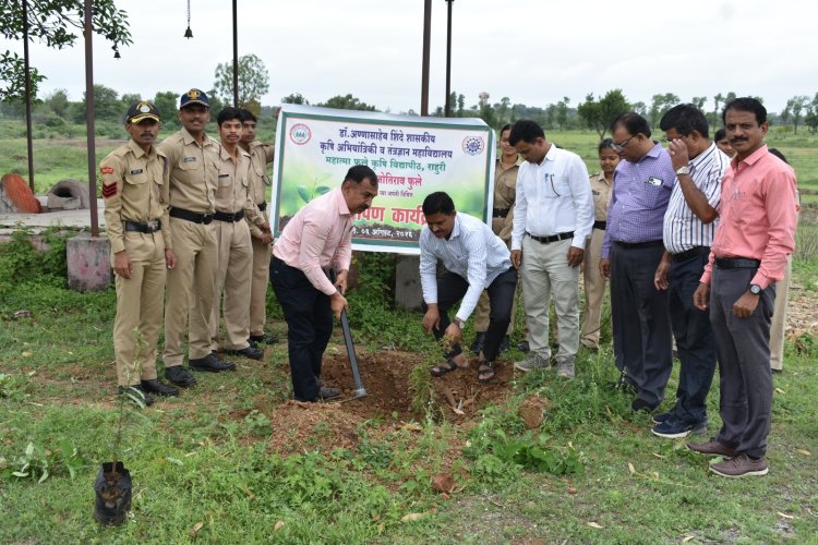 महात्मा फुले यांच्या द्विशताब्दी जयंती वर्षानिमित्त पाणलोट क्षेत्रात वृक्षारोपण कार्यक्रम संपन्न .