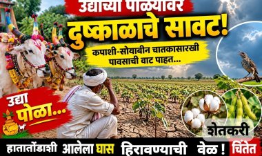 बैलपोळ्याच्या सणावर दुष्काळाचे सावट,यंदाचा पोळा कोरडाच,शेतकरी चिंताग्रस्त.