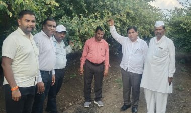 महात्मा फुले कृषी विद्यापीठाच्या शिफारशीत चुहारा बोर वाणातून समृद्धीची नवी दिशा
