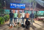 श्रीगोंदा व श्रीरामपूर येथे गुटखा -माव्याच्या  अवैध धंद्यावर स्थानिक गुन्हे शाखेची कारवाई ; 42,980 /- रु. किंमतीचा मुद्देमाल जप्त .