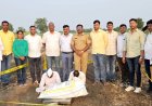 वाटापुर शिवारात गांजाची लागवड ; 2 लाख 55 हजारांचा मुद्देमाल जप्त