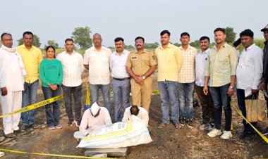 वाटापुर शिवारात गांजाची लागवड ; 2 लाख 55 हजारांचा मुद्देमाल जप्त