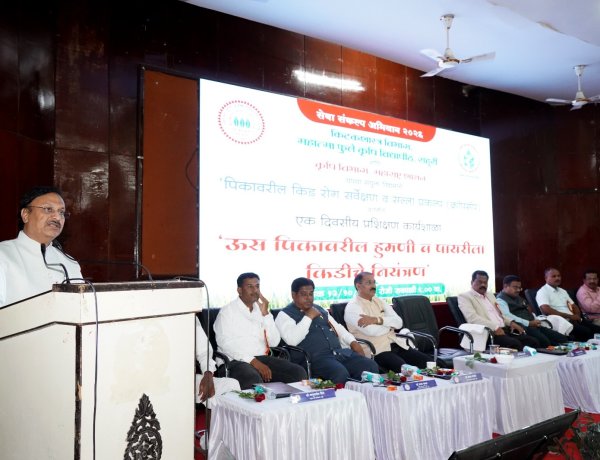 राहुरी कृषी विद्यापीठात ऊस पिकावरील  एक दिवसीय प्रशिक्षण कार्यशाळा संपन्न .